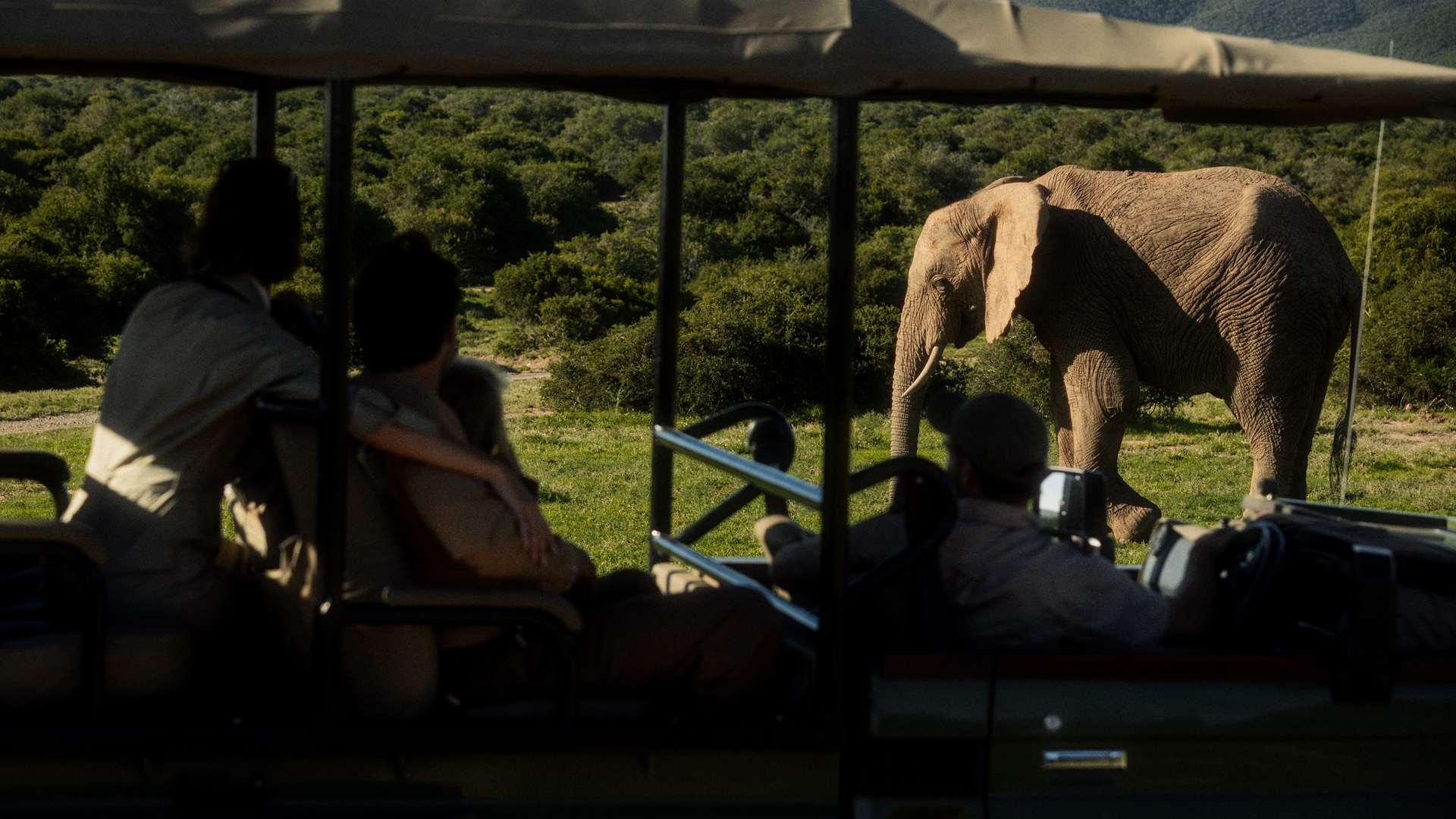 Guests observing wildlife during a safari of the Shamwari Private Game Reserve