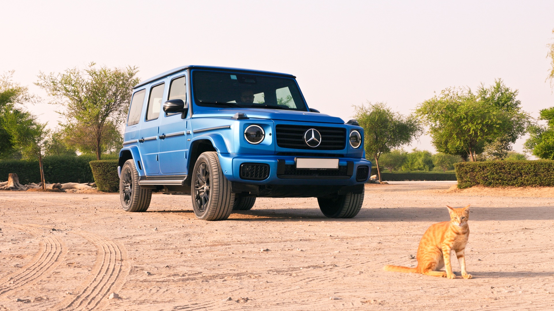 A static shot of a blue Mercedes-Benz G 580, the Electric G-Wagen, taken from the front-left side with a fluffy visitor (a cat) in the frame
