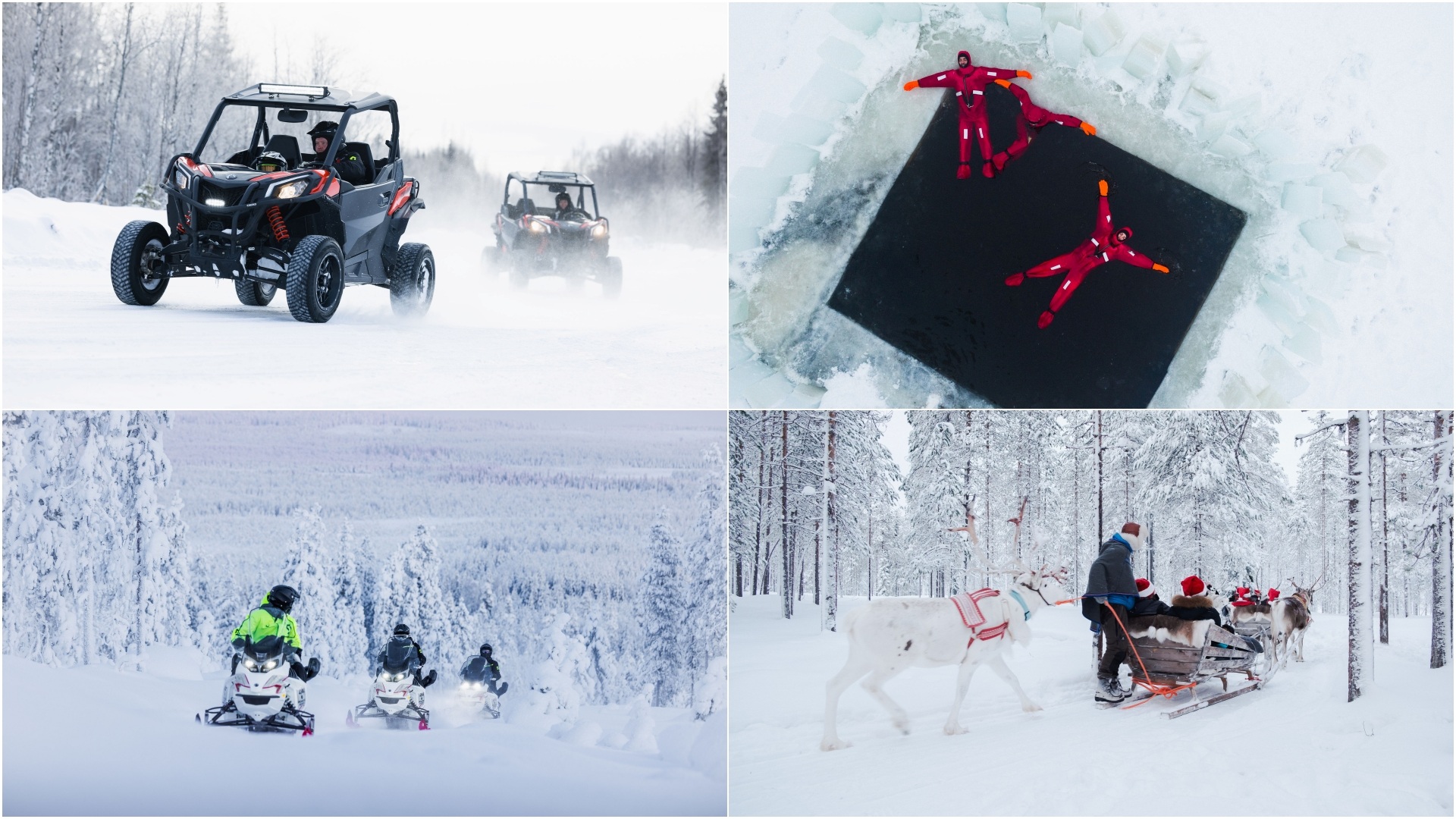 A collage of four images, showing the variety of activities guests can experience at Octola III