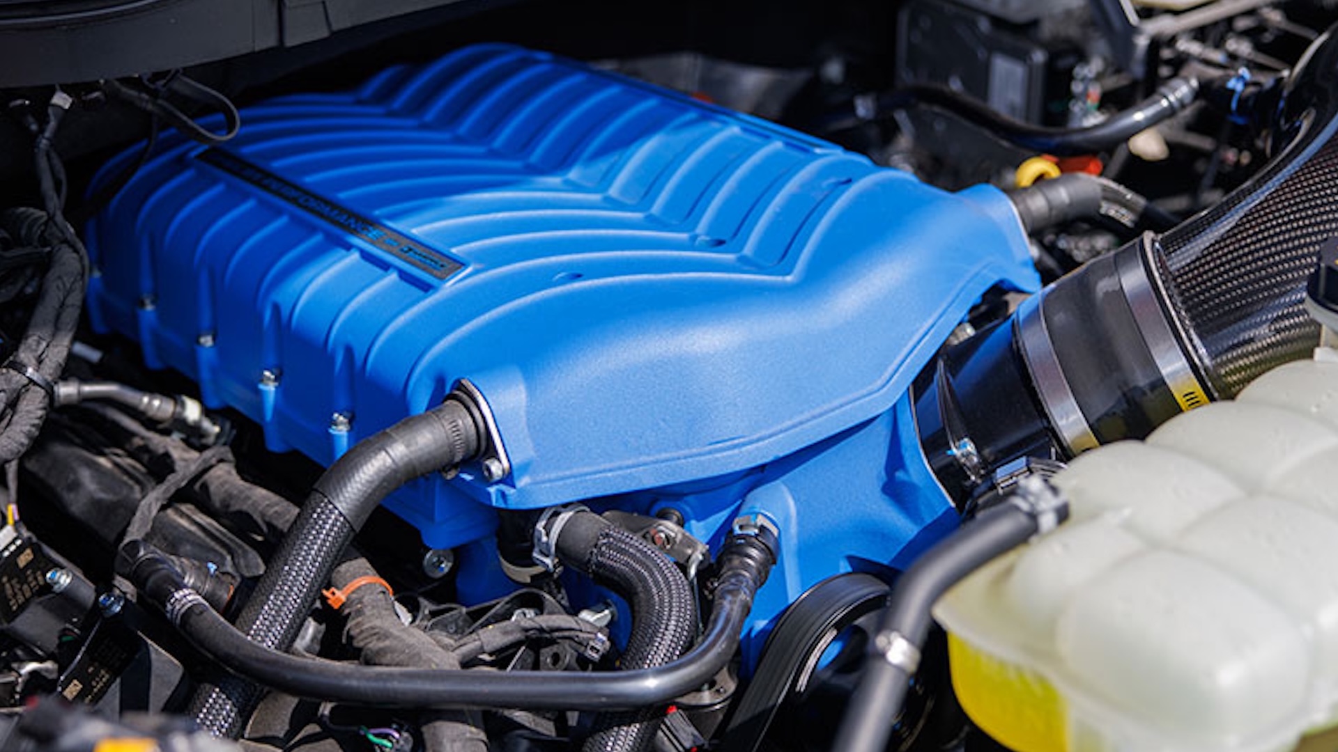 Shelby F-150 Super Snake Debuts
