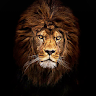 Profile picture of mohammad nizamuddin ali